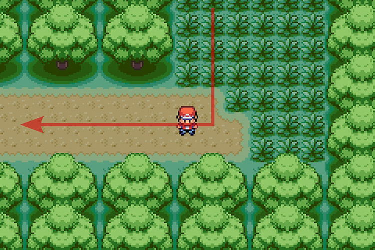 Following the path going West. / Pokémon Radical Red