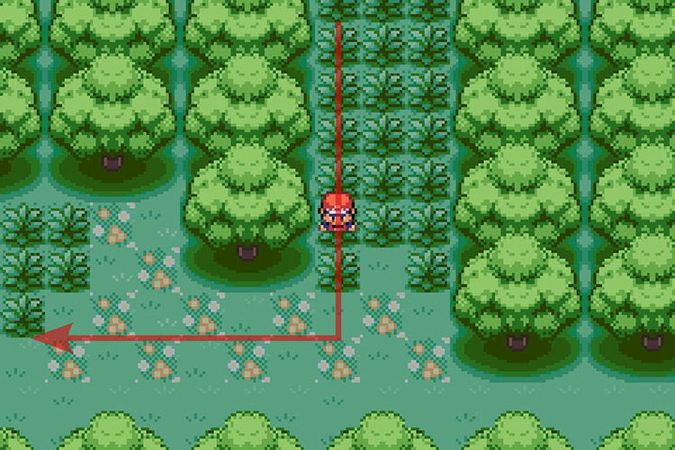 Going West when the path South ends. / Pokémon Radical Red