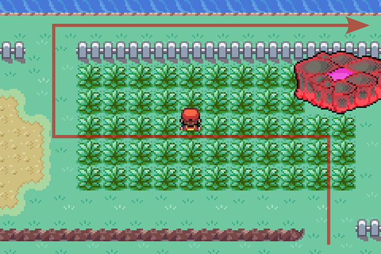 Walking around the fence to the North and following the path East. / Pokémon Radical Red