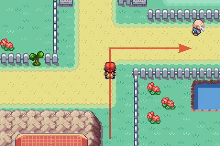 Following the path East. / Pokémon Radical Red