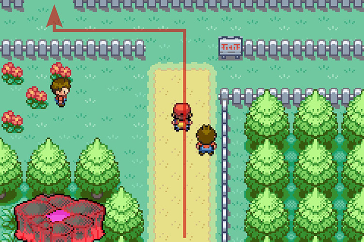 Entering the fence maze and taking a left turn. / Pokémon Radical Red
