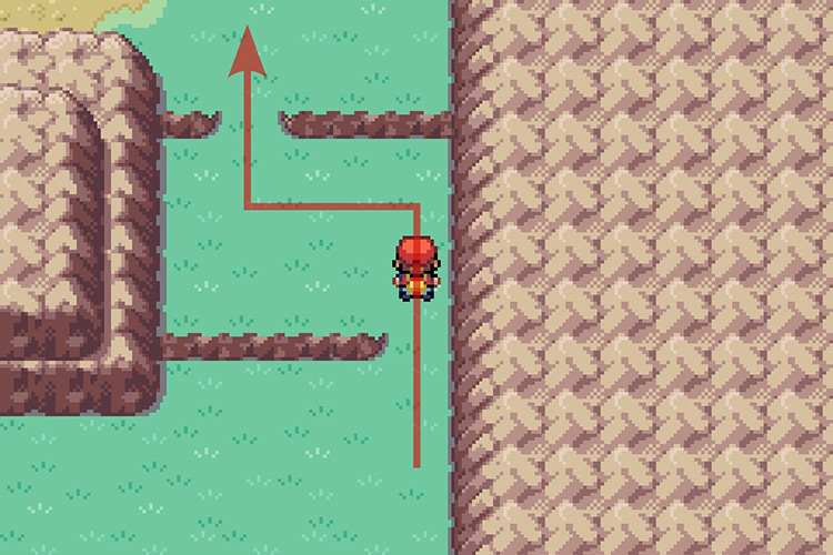 Crossing the two ledges to continue going North. / Pokémon Radical Red