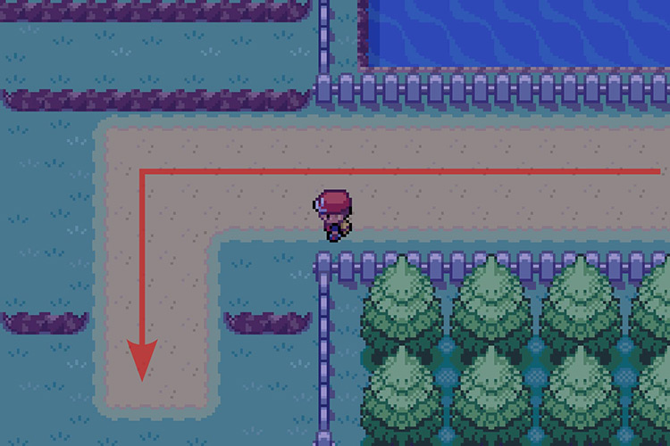 Following the path out of Cerulean City. / Pokémon Radical Red