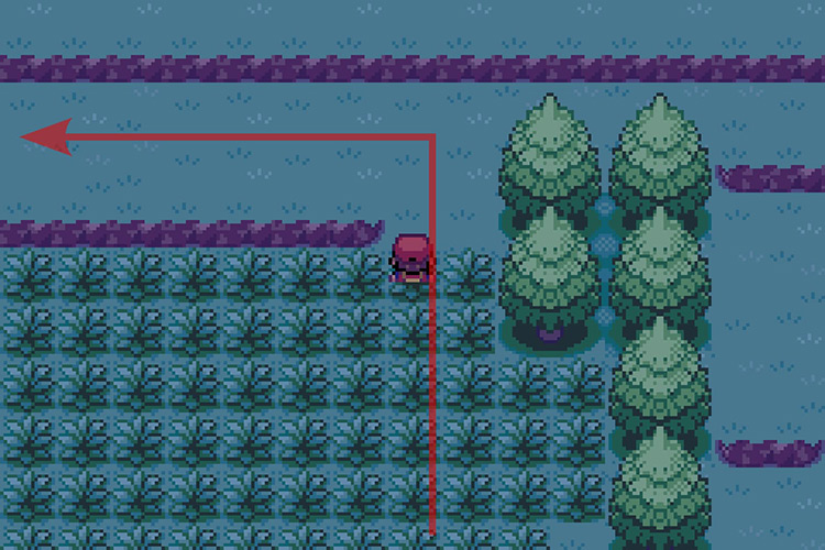 Leaving the tall grass and heading West. / Pokémon Radical Red