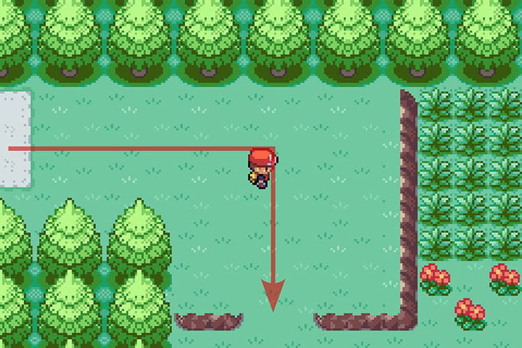 Heading East from Celadon City and then going South. / Pokémon Radical Red