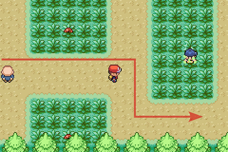 Walking to the very East of Route 11. / Pokémon Radical Red