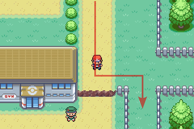 Going around the ledge to continue South. / Pokémon Radical Red
