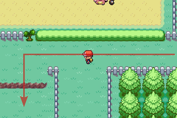 Jumping down the ledge in between the two paths going South. / Pokémon Radical Red