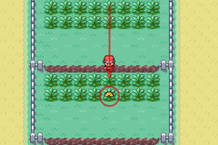 Finding TM096 in a patch of grass between two ledges. / Pokémon Radical Red