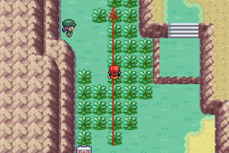 Continuing on the path North. / Pokémon Radical Red