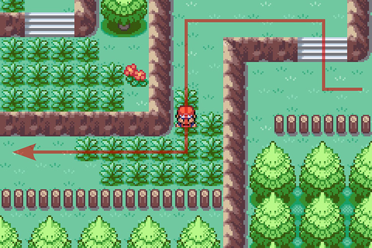 Continuing on the path West. / Pokémon Radical Red