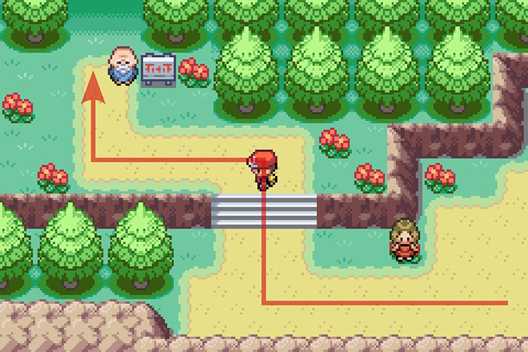 Entering the Berry Forest. / Pokémon Radical Red