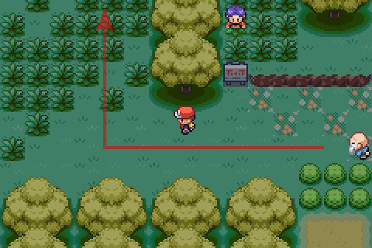 Taking the path North after entering the forest. / Pokémon Radical Red
