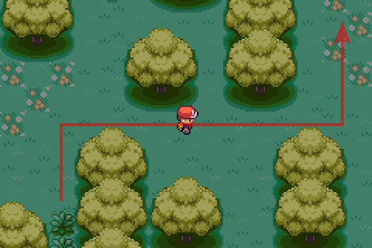 Going East and then walking North. / Pokémon Radical Red
