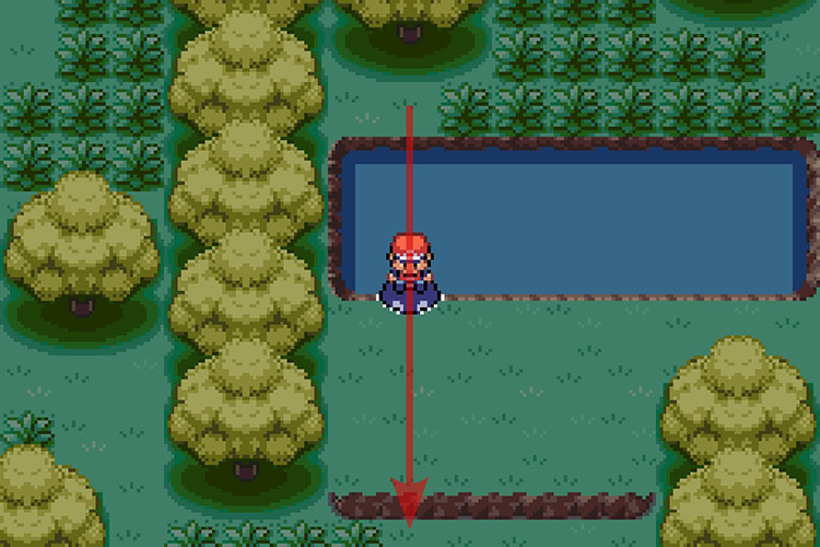 Surfing South and then jumping down from the ledge. / Pokémon Radical Red