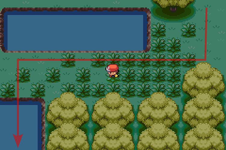 Using Surf on the pond to the South to get to the other side. / Pokémon Radical Red