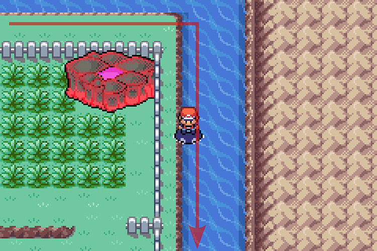 Surfing on the path South. / Pokémon Radical Red