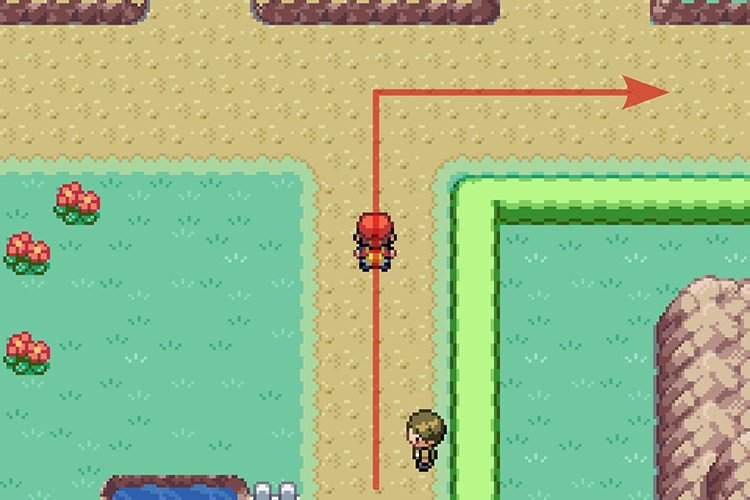 Taking the path to the grass maze / Pokémon Radical Red