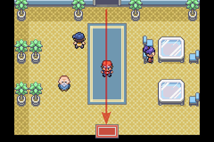 Exiting the connector from the other end. / Pokémon Radical Red