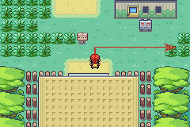 Going East right after entering the Safari Zone. / Pokémon Radical Red