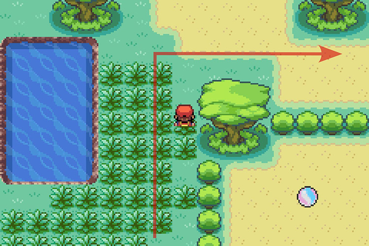 Turning East after walking past a tree. / Pokémon Radical Red