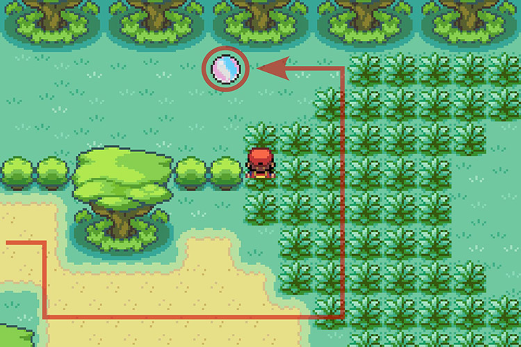 Finding the Pidgeotite North of Area 2 of the Safari Zone. / Pokémon Radical Red