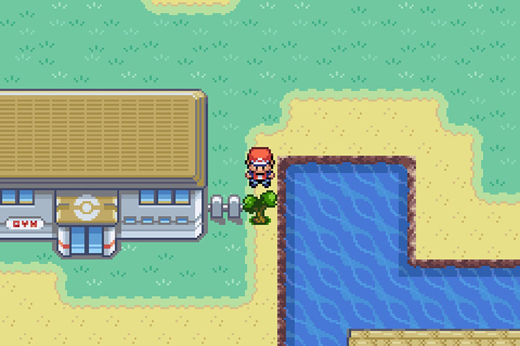 The tree blocking your entry to the Vermilion City Gym. / Pokémon Radical Red