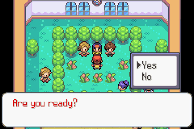 Being challenged to a rematch by Erika. / Pokémon Radical Red