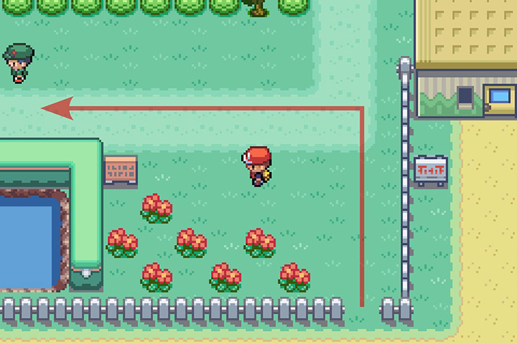 Walking past the newly created gap and then going West. / Pokémon Radical Red