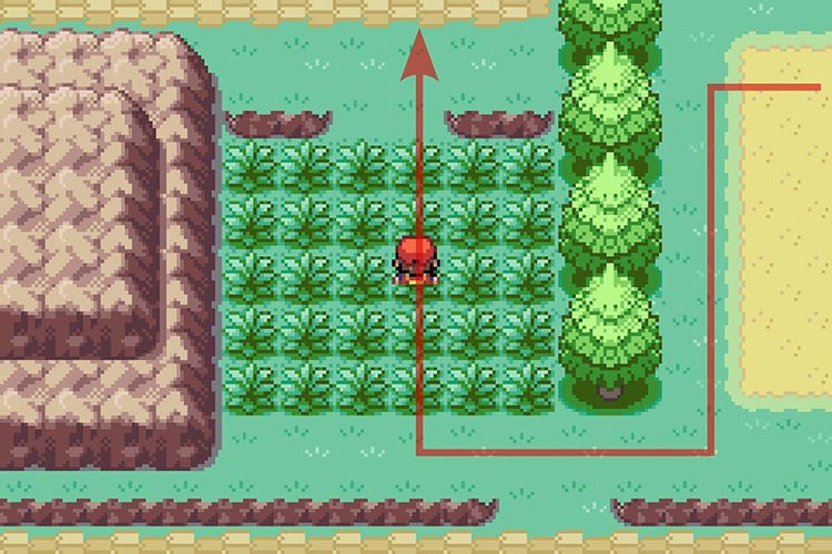 Walking through the tall grass to get to the North path. / Pokémon Radical Red