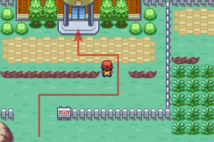 Entering the connector at the end of the path. / Pokémon Radical Red