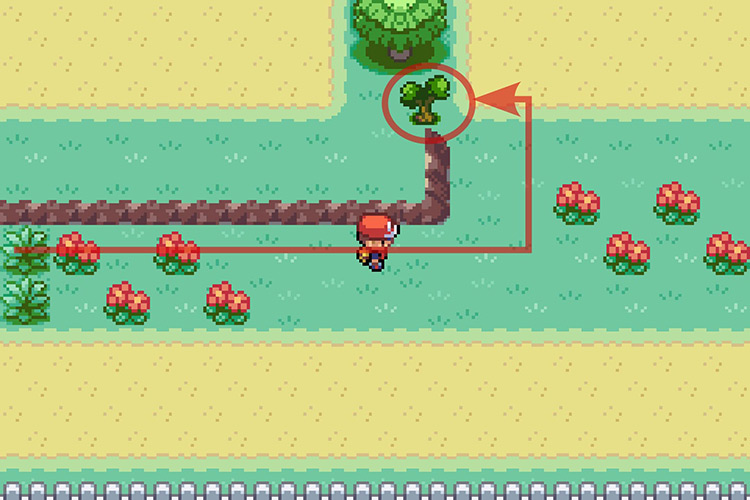 A small tree blocking the path to the TM. / Pokémon Radical Red