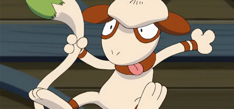 Smeargle Funny Face in Pokemon Anime