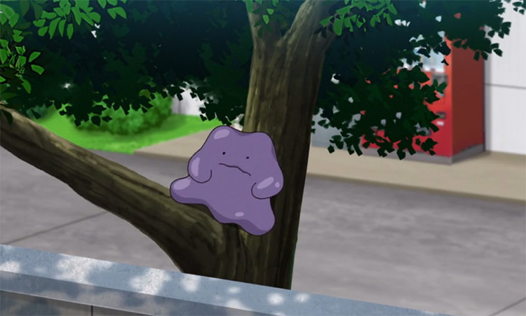 Ditto from Pokemon anime