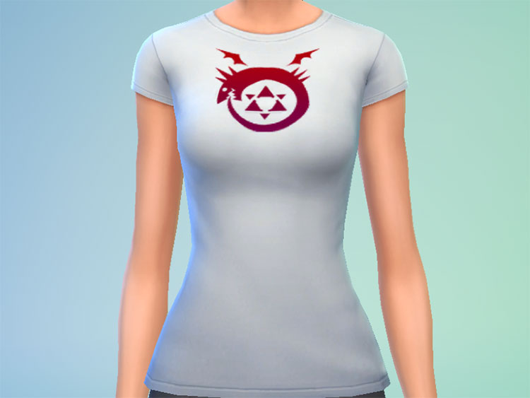 FMA Tshirt with symbols CC