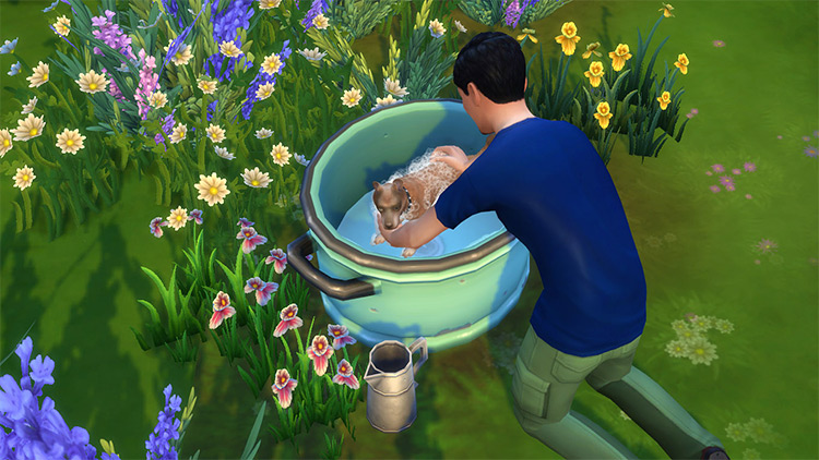 How To Wash Pet In Sims 4