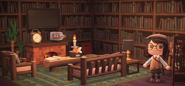 regal bookcase acnl