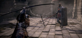 PvP Battle Stance - DS3 Champions Ashes