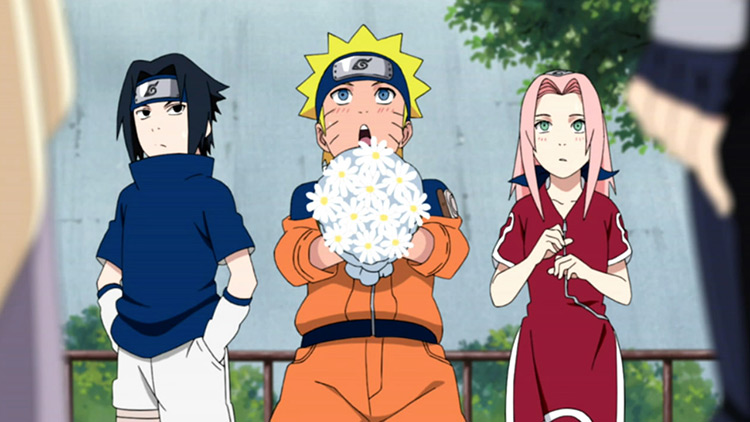 Naruto / Naruto Shippuden anime