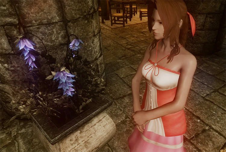 Aerith Clothes Mods for Skyrim