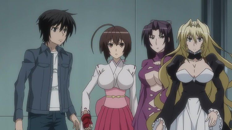 Sekirei anime