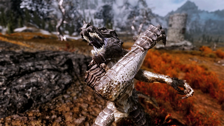 Best Skyrim Transformation Mods Worth Trying  All Free    FandomSpot - 11