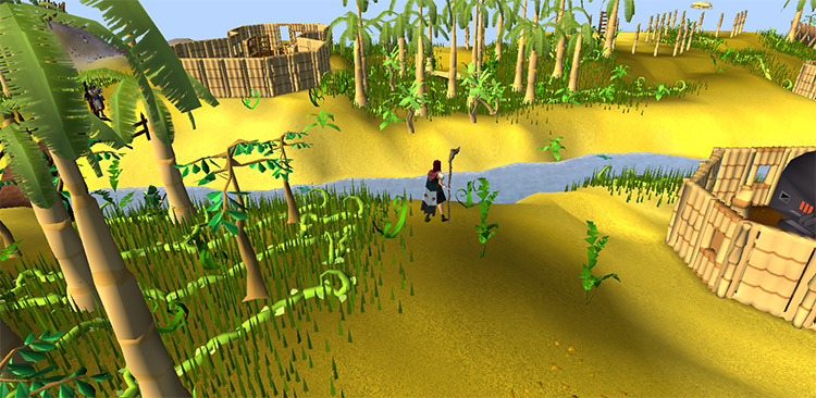 Shilo Village fishing area screenshot / OSRS