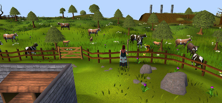 What’s The Best Spot To Farm Cowhide in OSRS?