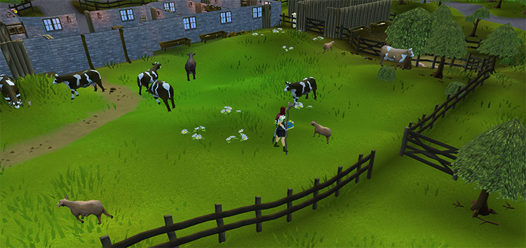 Farm south of Falador with cows / OSRS