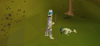 Plucking a Chompy in Old School RuneScape