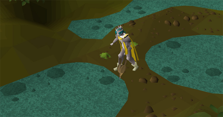 Inflating Toads in the Swamp / OSRS