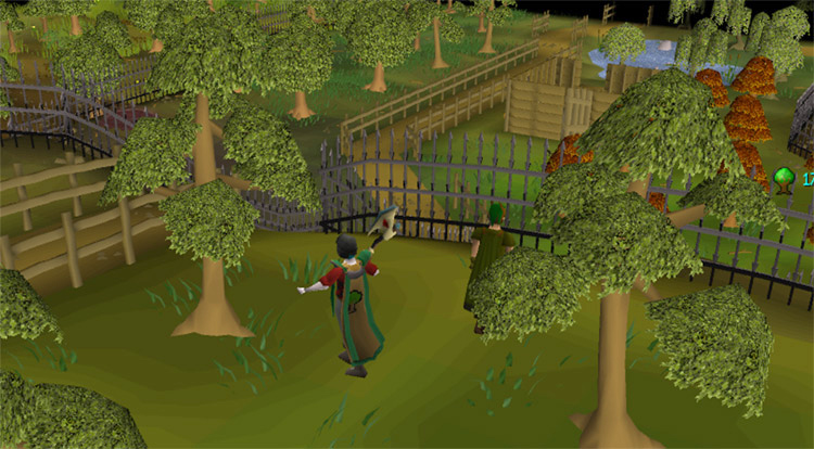 Woodcutting inside the Guild / OSRS