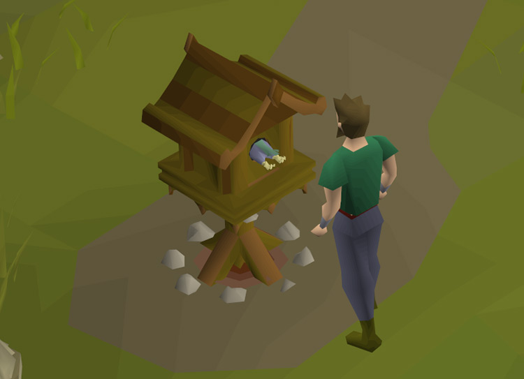 Player about to collect a full yew bird house / OSRS