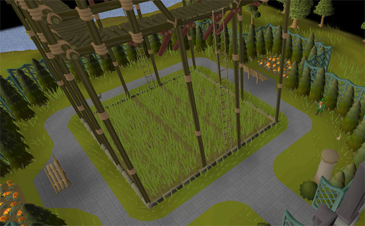 The Redwood Patch in the Farming Guild / OSRS